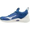 Footwear Mizuno Men's Wave Momentum 2020